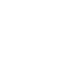 .biz